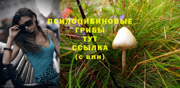 индика Абдулино